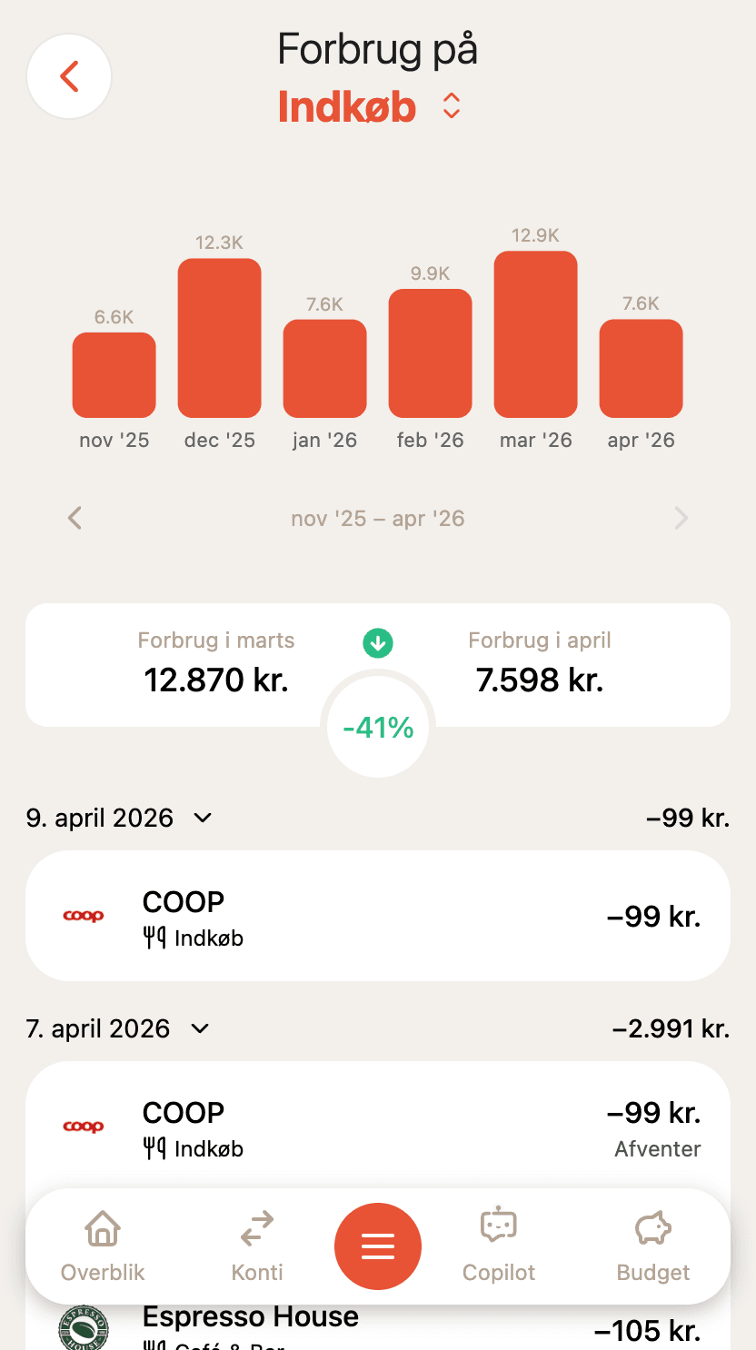 Forbrugsindsigt og kategorianalyse